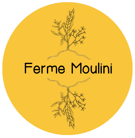 Ferme Moulini